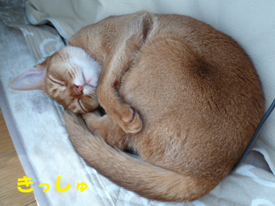 2011_05_22.jpg
