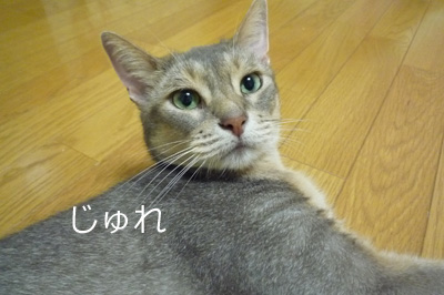 2011_08_04.jpg