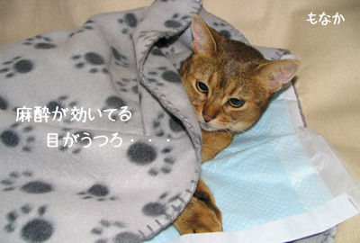 061007b.jpg