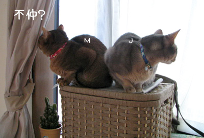 070121a.jpg