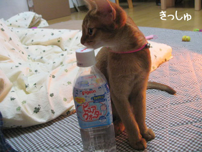 070409.jpg