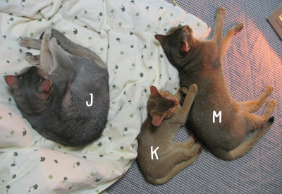 070409a.jpg