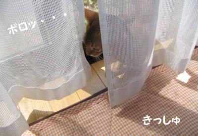 070424a.jpg