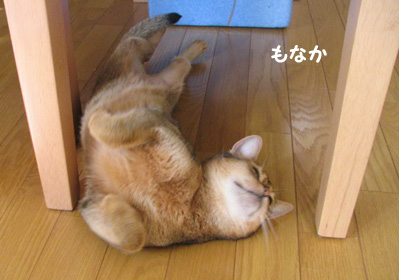 070514a.jpg