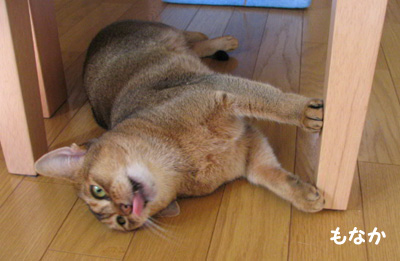 070514b.jpg