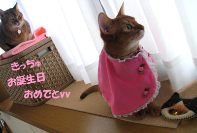 071222a.jpg