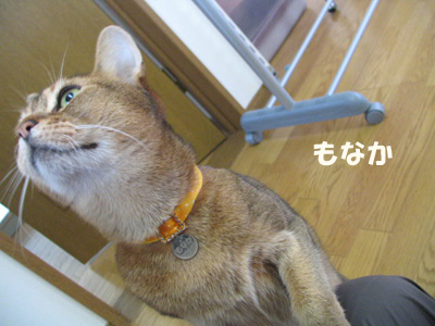 080104.jpg