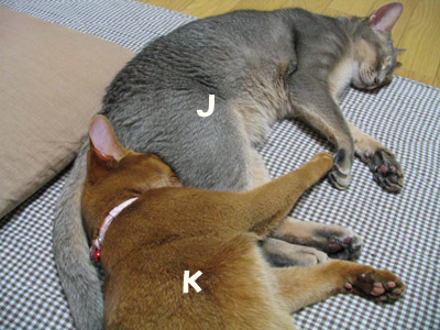 080106.jpg