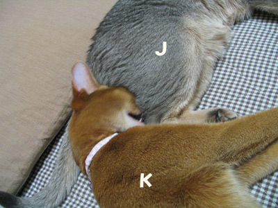 080106b.jpg