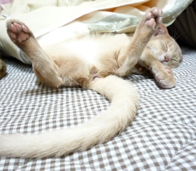 2011_03_23.jpg