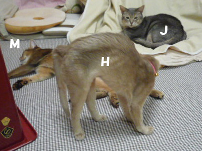 2011_03_28.jpg