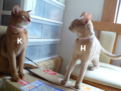 2011_03_29.jpg