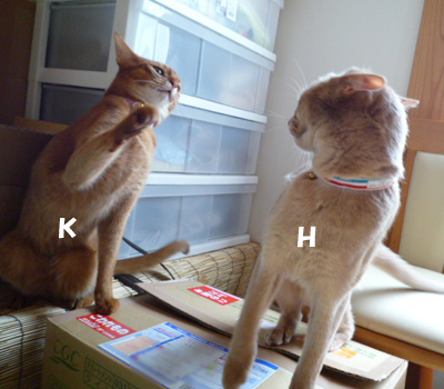 2011_03_31.jpg