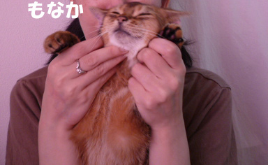 2011_04_021.jpg