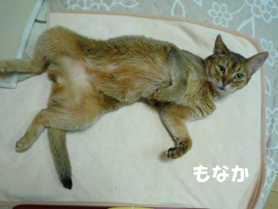 2011_05_21.jpg