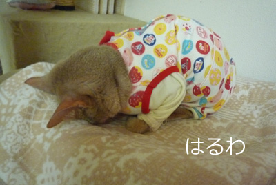 2011_07_20.jpg