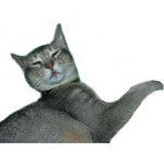 DSCN0377.JPG